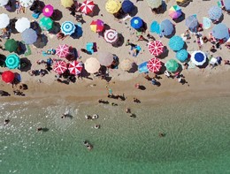 Che cos’è l’Escherichia coli e perché ci impedisce di fare il bagno