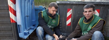 Cosa si rischia ad abbandonare un animale (non solo d'estate)