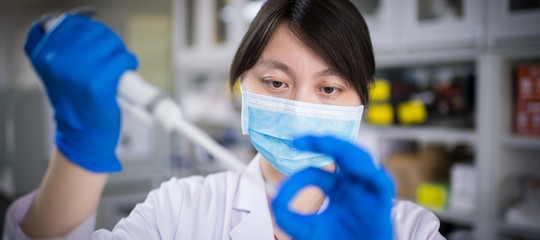 cina embrione chimera uomo scimmia
