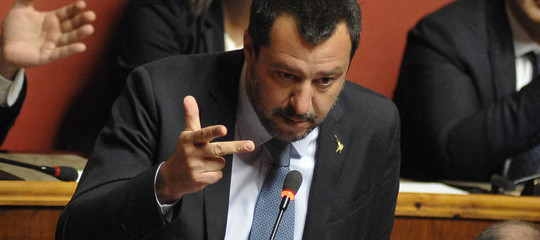 salvini conte senato