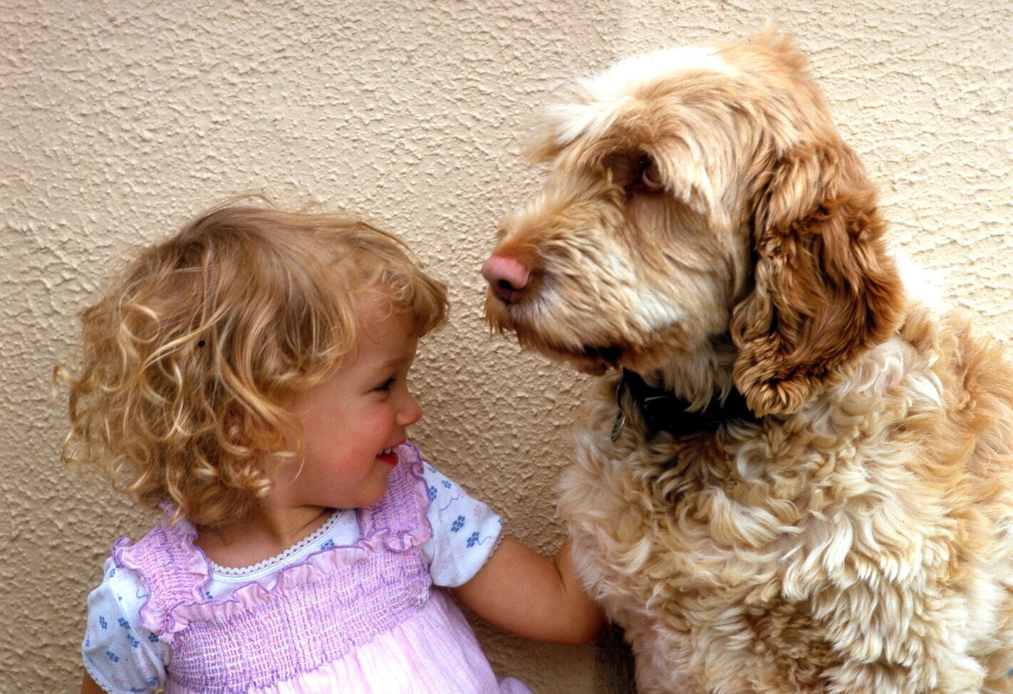 I bimbi che crescono con i cani hanno meno rischio di asma
