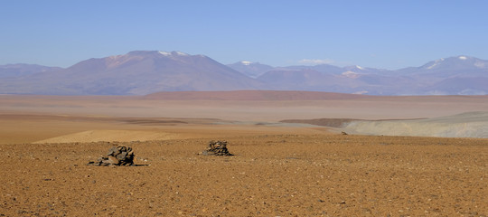 batterio atacama antibiotici cancro