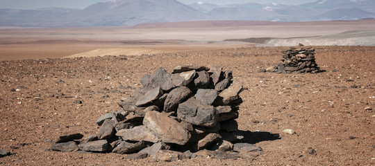 batterio atacama antibiotici cancro