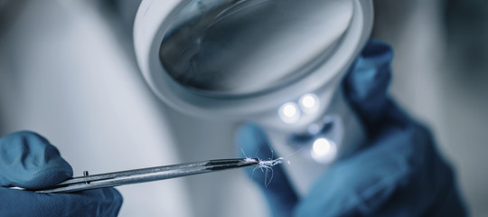 dna capello radice