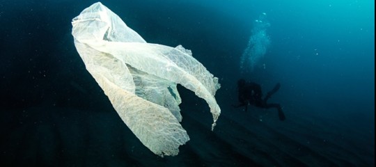 sacchetti plastica ambiente