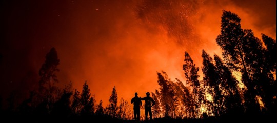 incendi california siccità