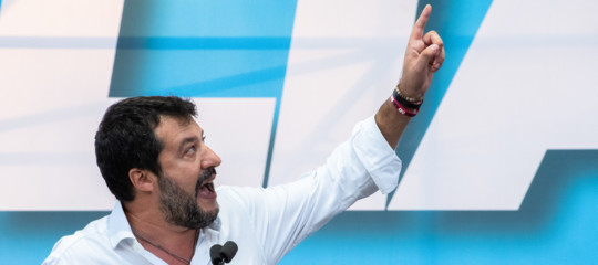 strategia salvini cinghiali draghi
