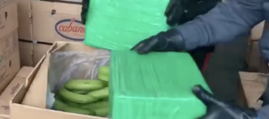 cocaina gioia tauro