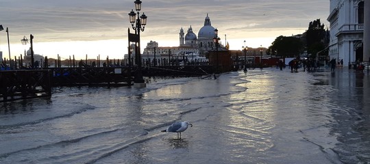 venezia acqua alta picco marea