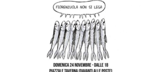 professore fiorenzuola sardine