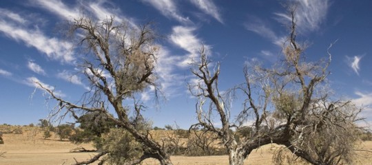 Clima Onu emissioni