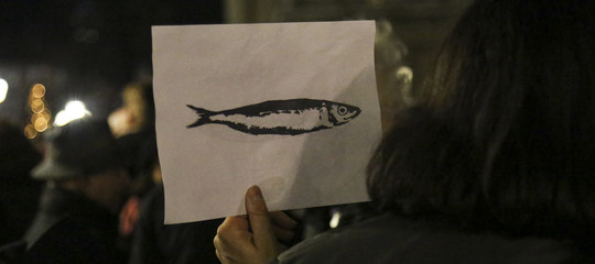 bambini disegnano sardine genova