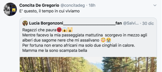 salvini de gregorio borgonzoni