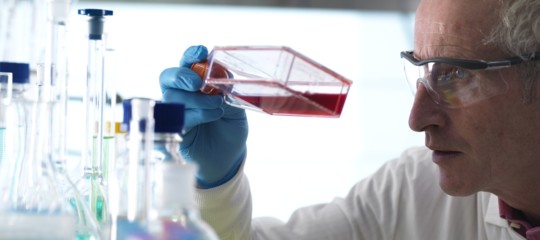 farmaci tumori edulcoranti artificiali