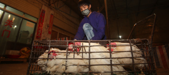 wuhan virus cinese