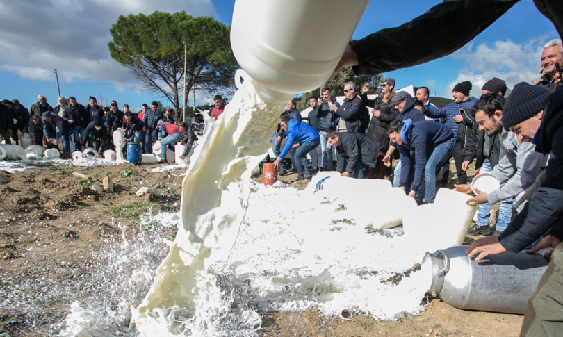 Latte Sardegna Regione Pastori
