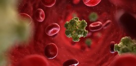 Dall'ebola al dengue, i killer invisibili