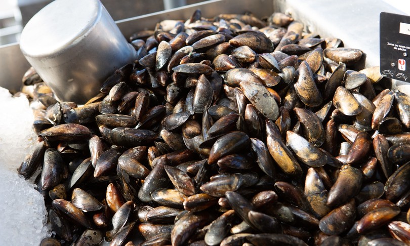cozze morte cotte clima