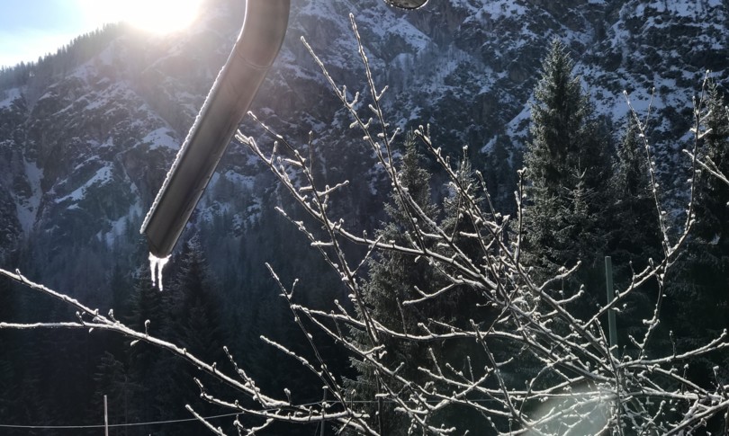 Maltempo meteo vento freddo coltivazioni