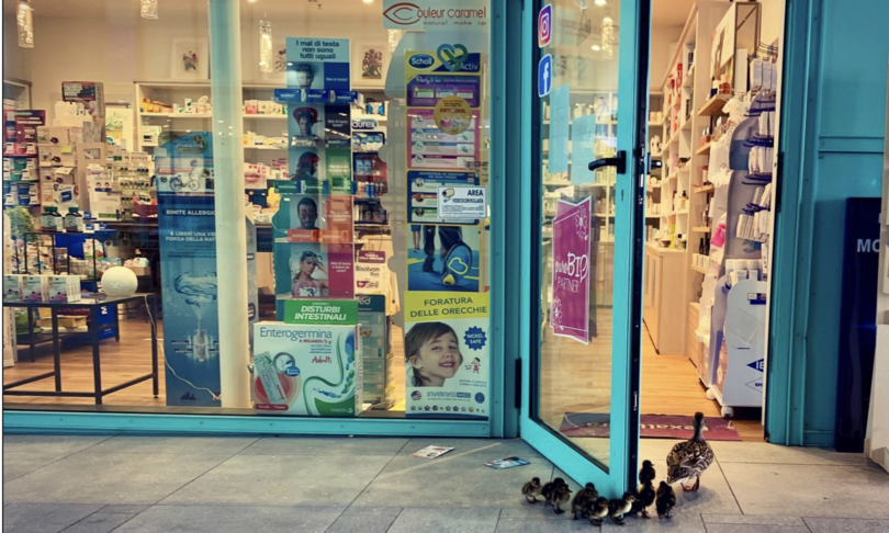 Coronavirus Farmacia Firenze