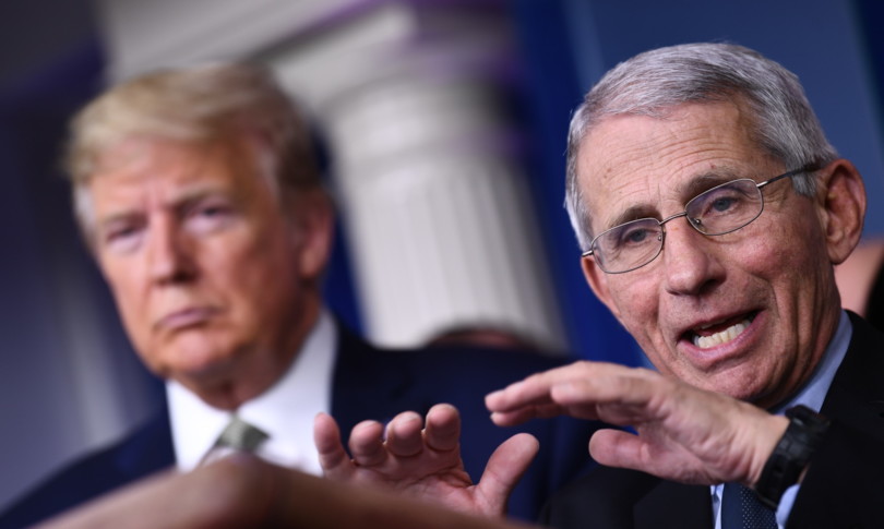 covid-19 coronavirus stati uniti morti anthony fauci