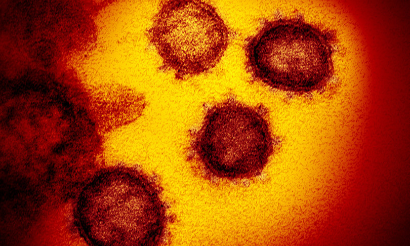 Coronavirus astrofisica Inaf ricerca