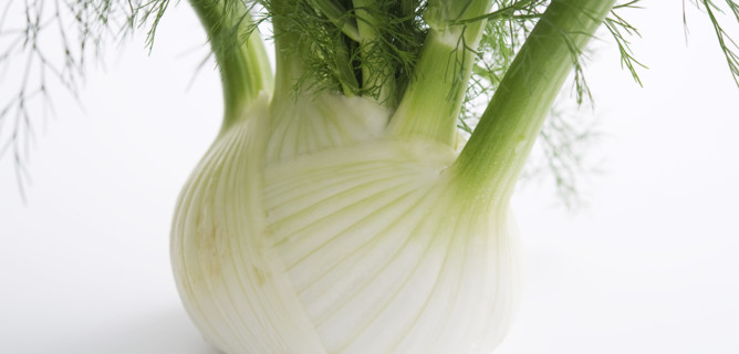 La Malattia Del Finocchio Coltivazioni A Rischio In Italia