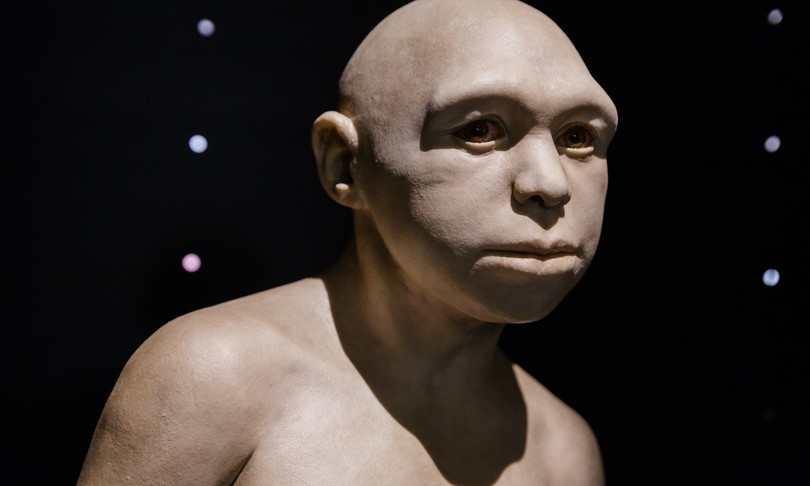 genealogia homo antecessor