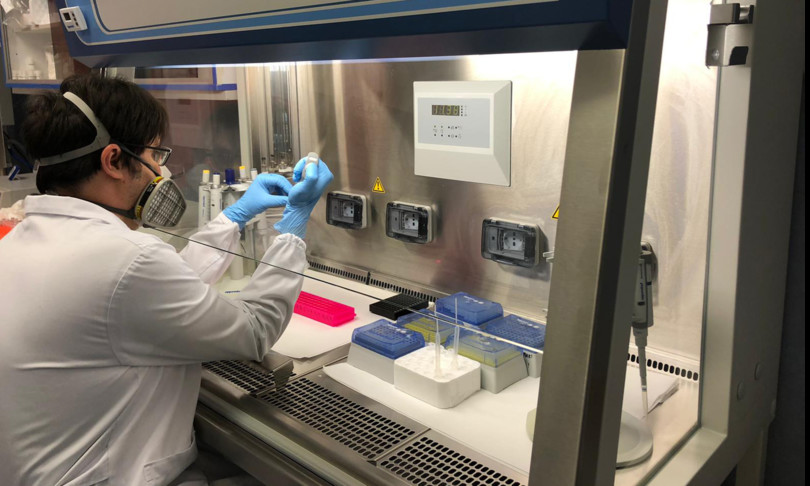 Coronavirus mutazioni sequenza contagio