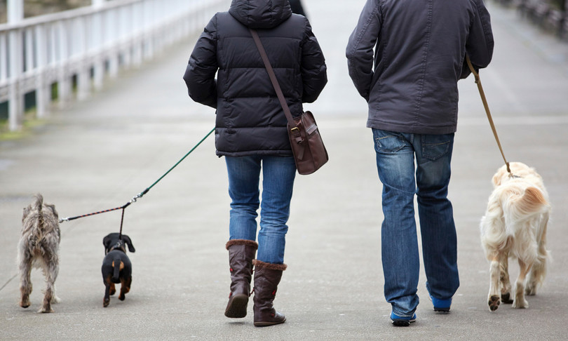 coronavirus passeggiata cani bambini