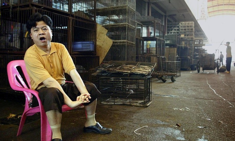 coronavirus Wet market Cina