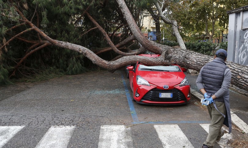 prezzi rc auto