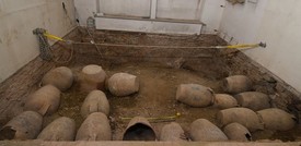 Un "ritrovamento eccezionale" al Museo della Specola di Firenze