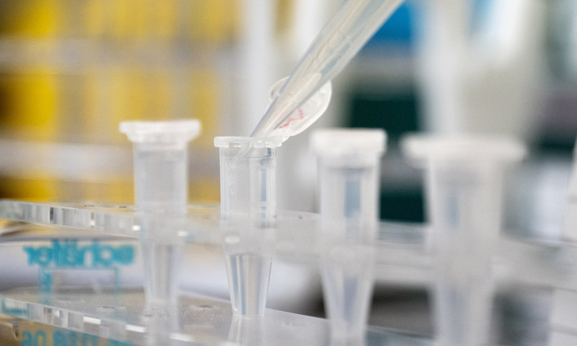 coronavirus picco marzo