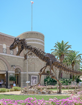 Come sta andando la riapertura nei grandi outlet