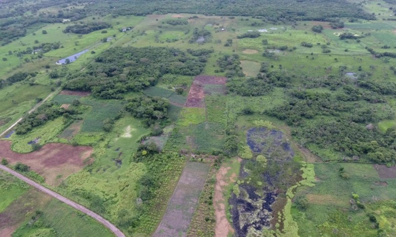scoperta messico antica struttura maya
