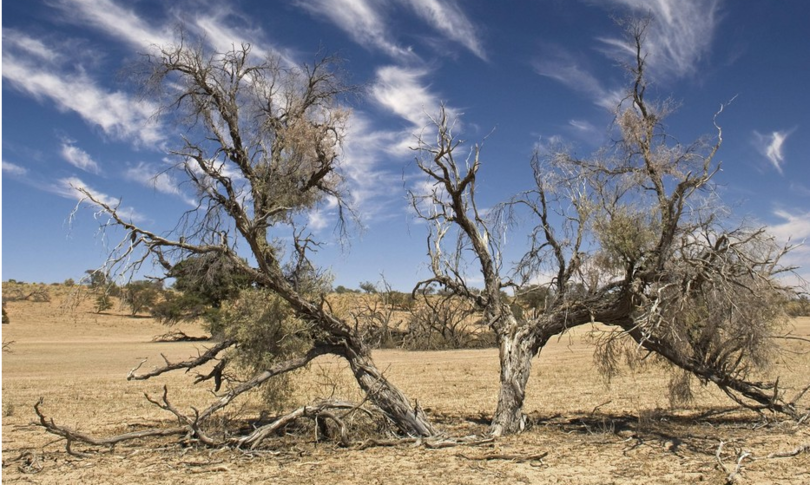 Mercalli alibi non ascoltare allarme crisi clima