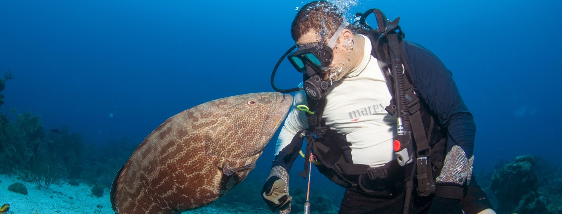 È tempo di salvare gli oceani