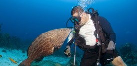 È tempo di salvare gli oceani
