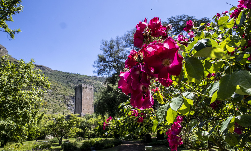 giardino ninfa cento anni boom visite lockdown