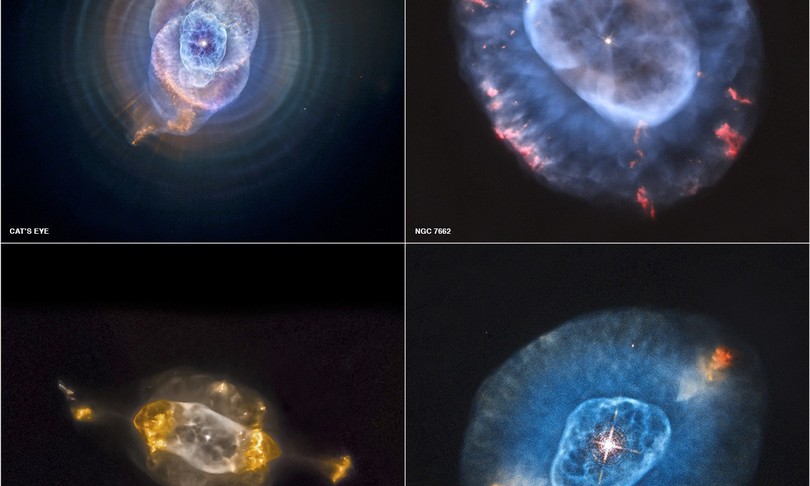 svelate stelle fabbriche carbonio universo