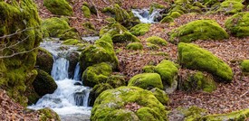 Berremo sempre di più acqua proveniente dalle montagne