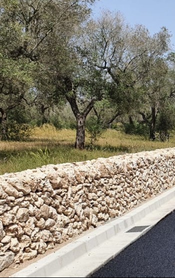 Ulivi espantiati