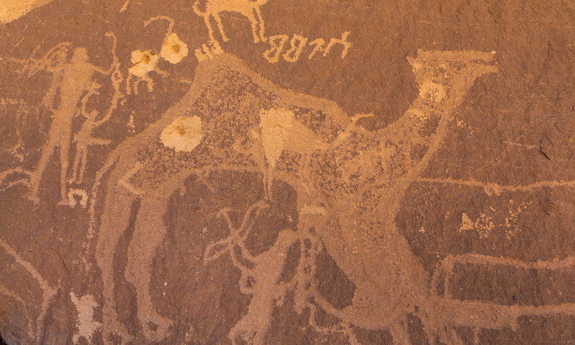 archeologia siberia cammelli