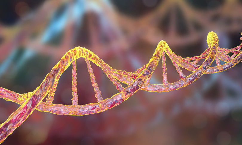 sequenza dna cromosoma x genetica malattie
