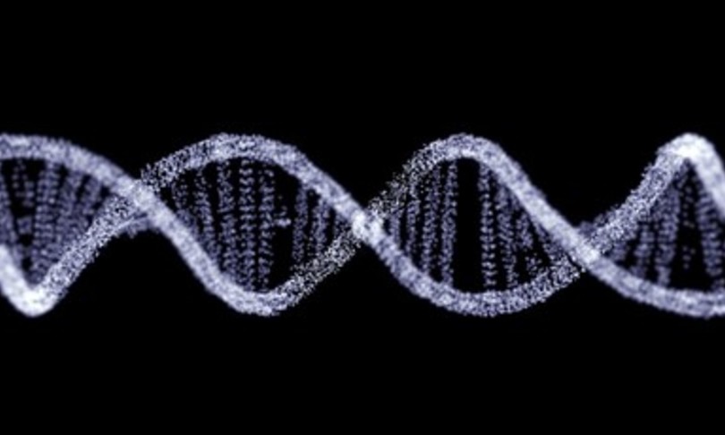 tratta schiavi impatto dna studio ricerca