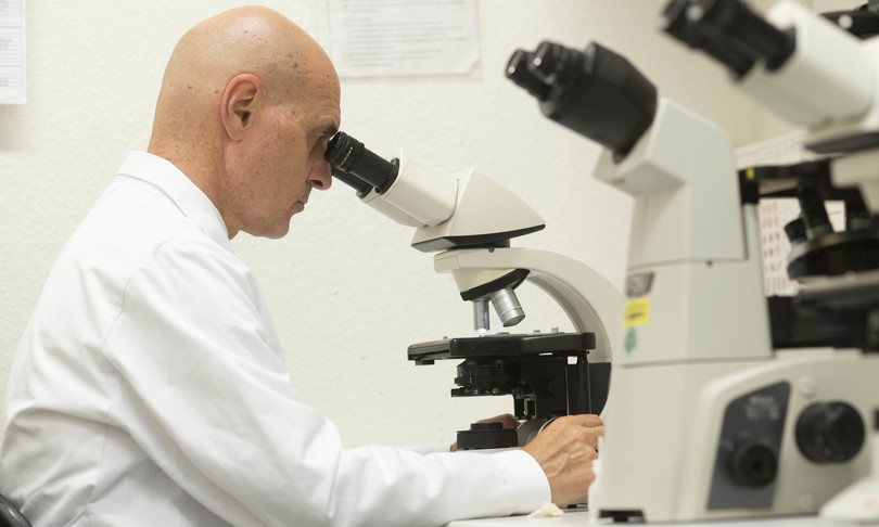 Coronavirus Pfizer fase finale vaccino