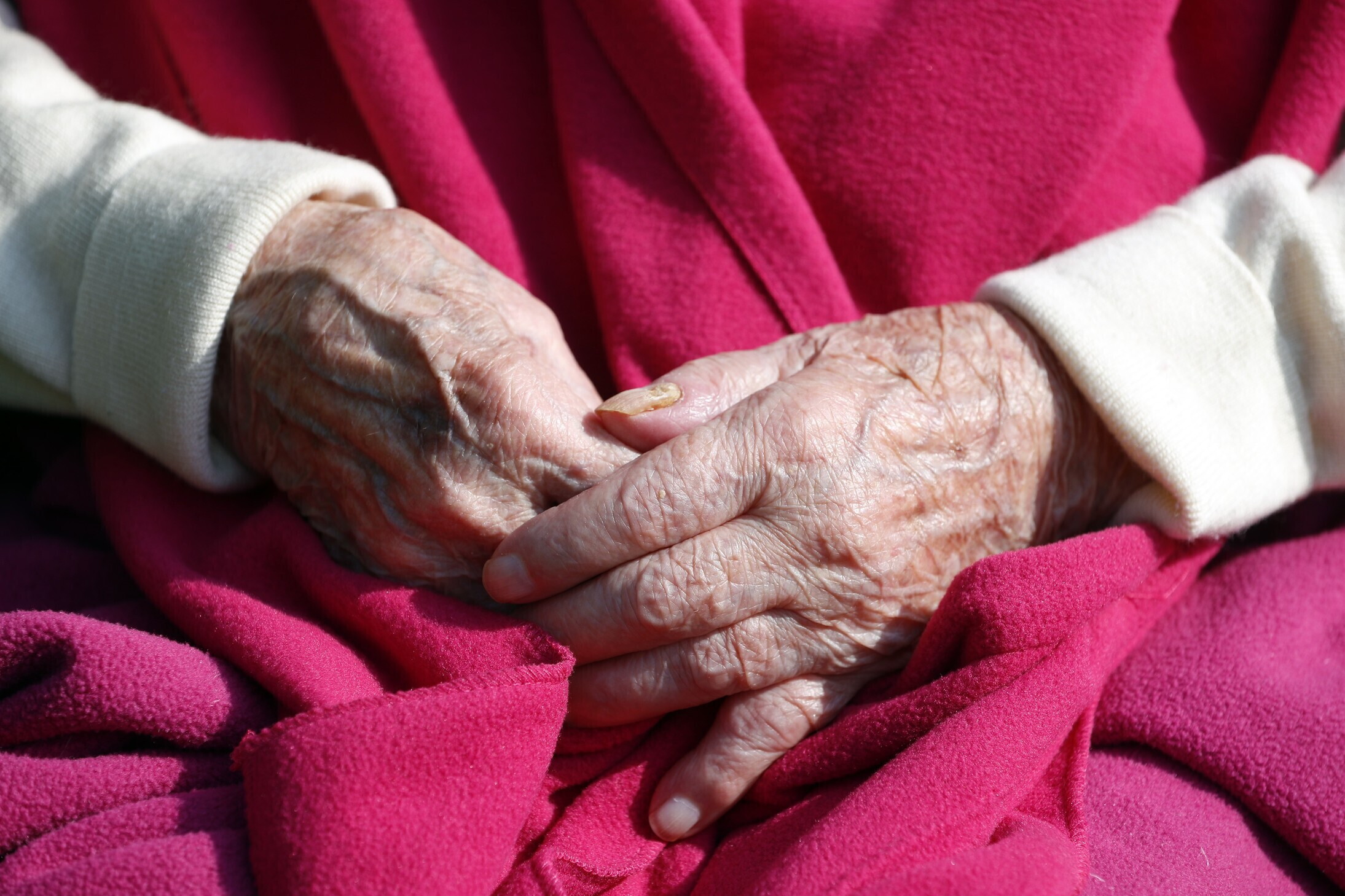 Alzheimer, da un test del sangue si può predire il declino cognitivo nei malati