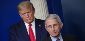 Trump, la stella di Fauci e quella di internet