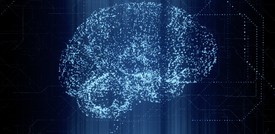Creata la piattaforma Ebrains, atlante del cervello umano
